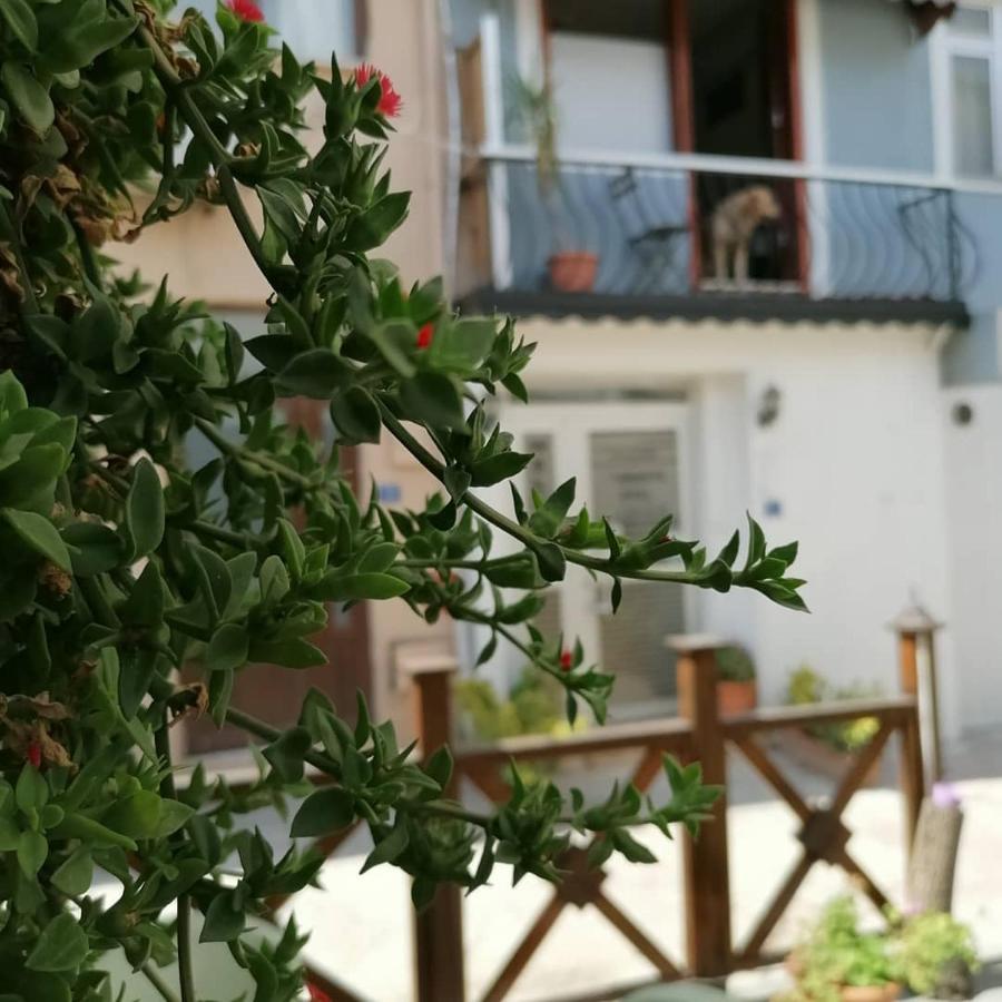 Hotel Mudanya Exterior foto